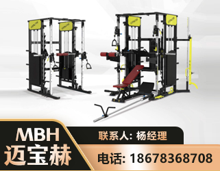 金昌多功能综合训练器