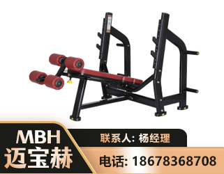 金昌豪华下斜卧推架